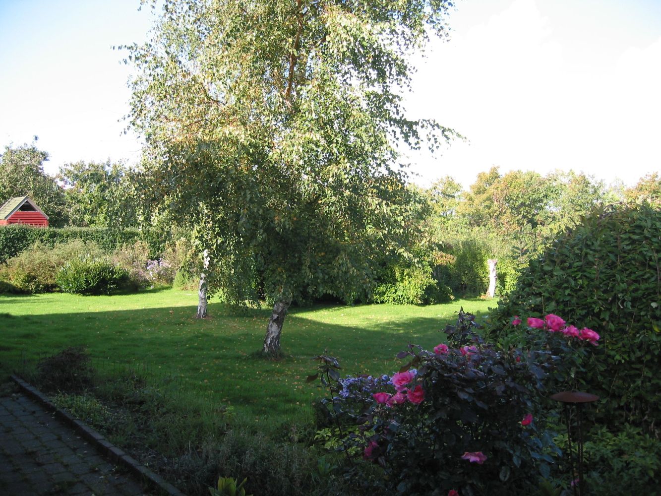 have2003_04.jpg